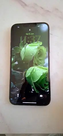 iPhone in good working condition - 1 unit