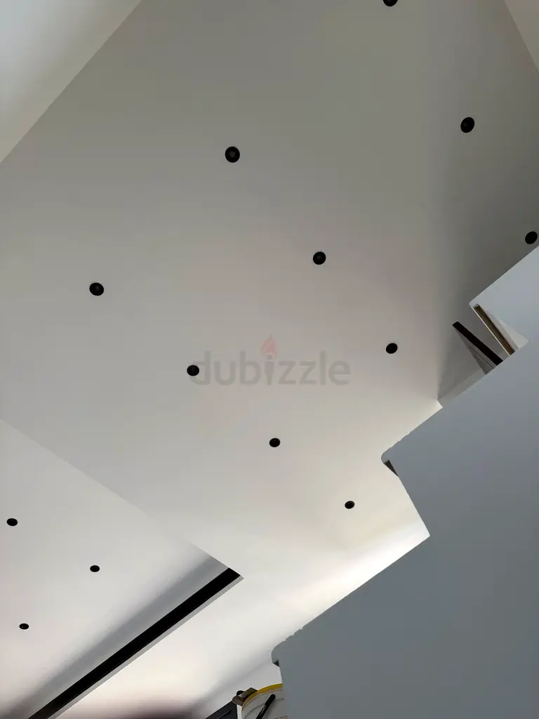DPV_View_Image_2