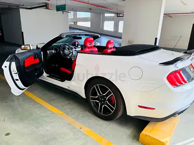 2018 Ford Mustang Ecoboost - American Specs - Excellent Condition