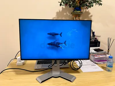 Monitor