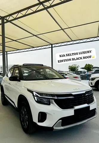 Kia Seltos Luxury Edition 2025 Chinese Specs
