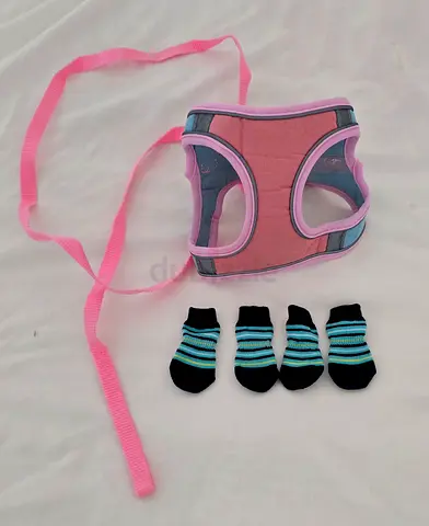 New pink cat harness and 4 booties