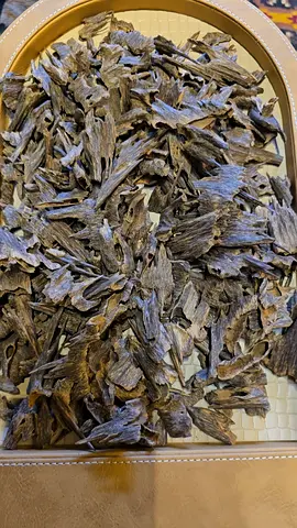 Oudh indian
