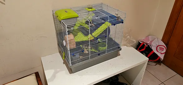 Free Hamsters with cage and accessories.