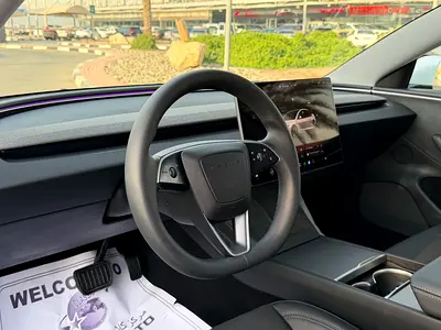 Tesla Model 3 Long Range, миниатюра 14