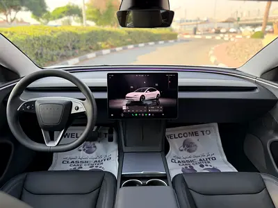 Tesla Model 3 Long Range, миниатюра 12
