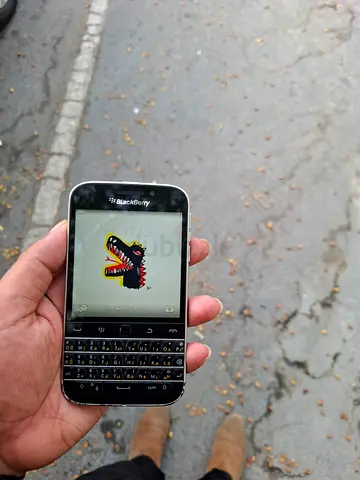 Blackberry Q20