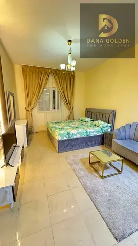 Furnished studio with hotel-style furniture and internet