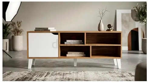 Low TV/Entertainment Unit with Storage Shelves and Single Door