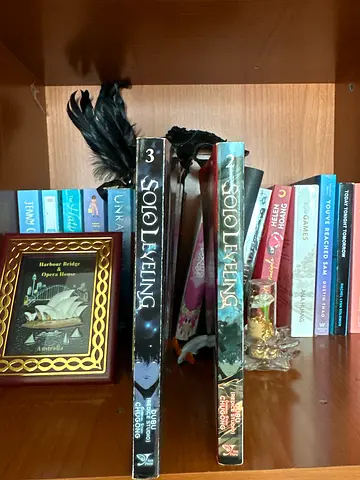 Solo leveling book 2 and 3
