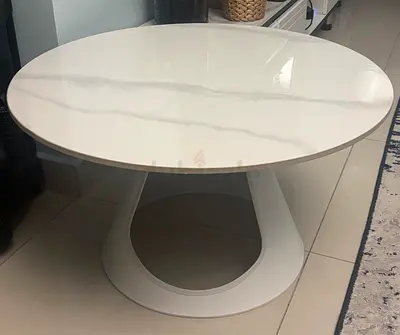 Cat coffee table