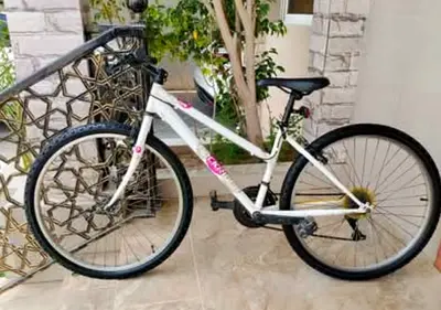 ROCKRIDER Brand 26 adult bike