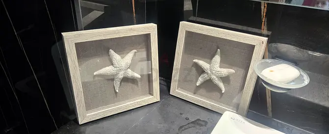 Pair of Framed Decorative Starfish Wall Art