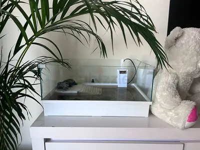 Turtle tank aquarium