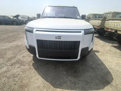 Rox 01 VIP 2026 Chinese Specs - Luxury Electric SUV