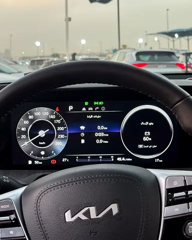2025 KIA TELLURIDE 缩略图 19