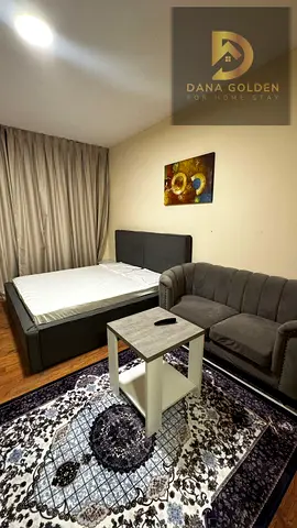 Furnished studio apartment available from today, hotel-style furnishings, first occupancy, overlooking Al Safiya Park.