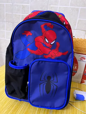 Kids trolley school bag