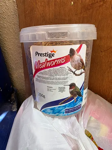 Birds Food - Meal Worms For Sale