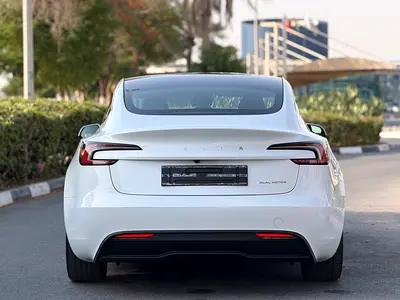 Tesla Model 3 Long Range, миниатюра 4