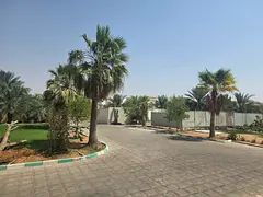 4 Palms for sale