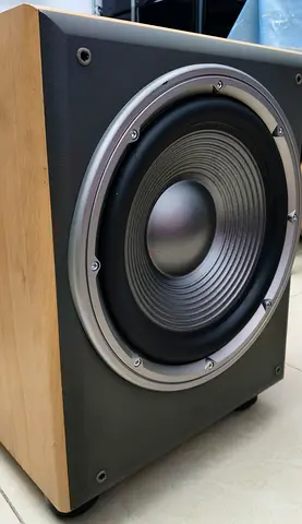 JBL 12 inch subwoofer E250P/230