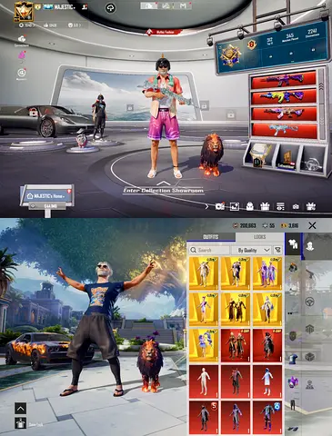 PUBG Mobile account with rare outfits, skins and pet (ready to use)