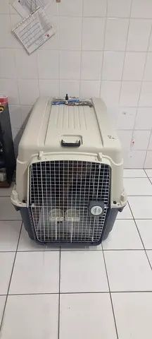 DOG TRAVEL CRATE URGENT SELLING