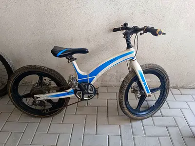 Kids 20-inch Blue  White Bicycle with Alloy Wheels - Good Condition