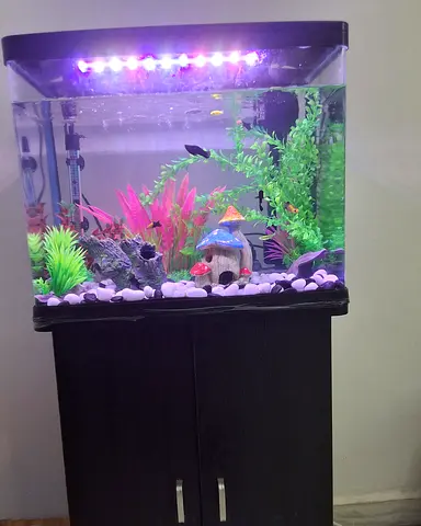 Aquarium including the accessories and cabinet and fishes