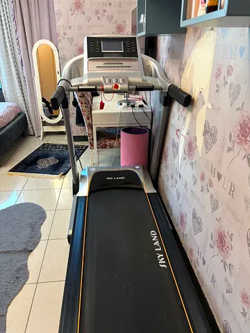 Skyland Treadmill