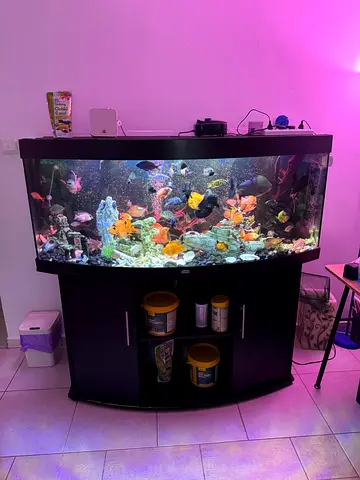 Juwel Vision 450