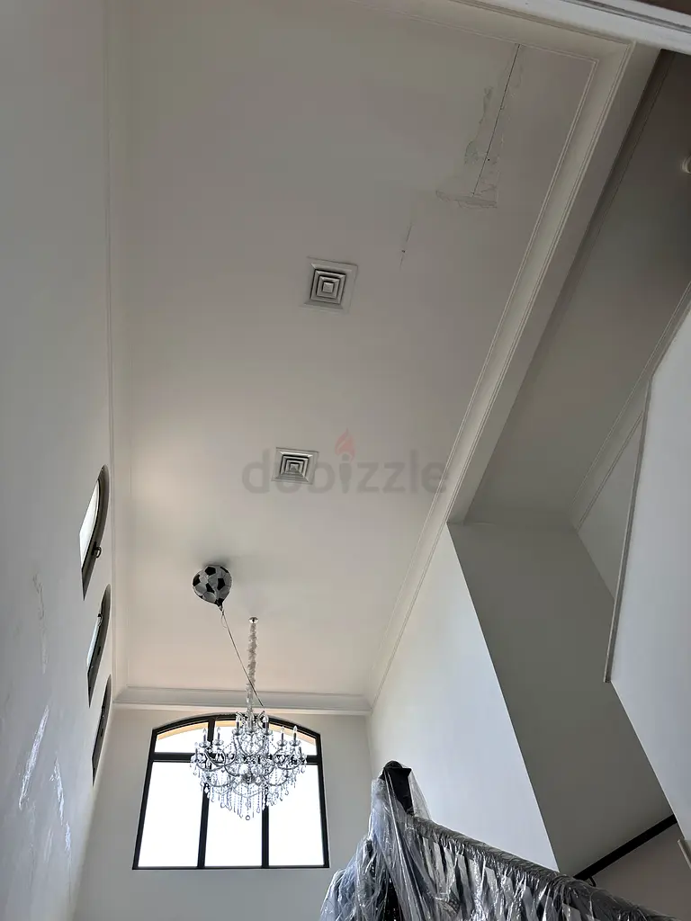 DPV_View_Image_8