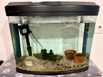 Freshwater Aquarium (56×50×25cm) – Complete with accessories, conditioners and food