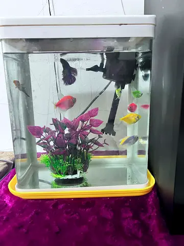 Aquarium for sale