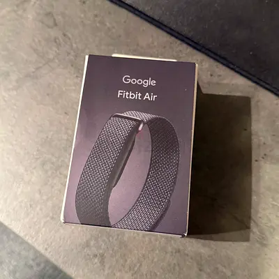 Google Fitbit Air