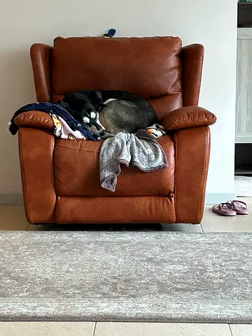Lazy boy electric chair