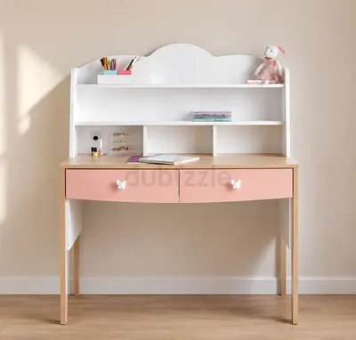 Kids Study Desk with Shelves and Drawers