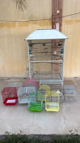 12 Birds net for sale