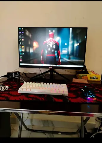 Gaming Monitor for aale