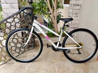ROCKRIDER Brand 26 adult bike