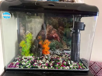 Used 20L Glass Aquarium Tank with Hood, Filter and Decorative Gravel