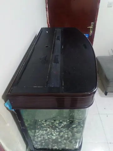 Glass Fish Tank with Wooden Style Trim and Lid