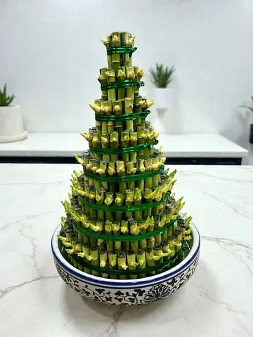 Live Lucky Bamboo Tower Arrangement in Decorative Ceramic Bowl