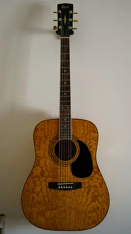 Cort Guitar