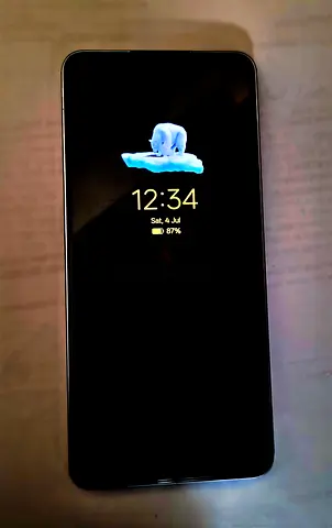Oppo Reno 13F