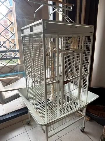 Large white metal bird cage on wheels with perches and trays