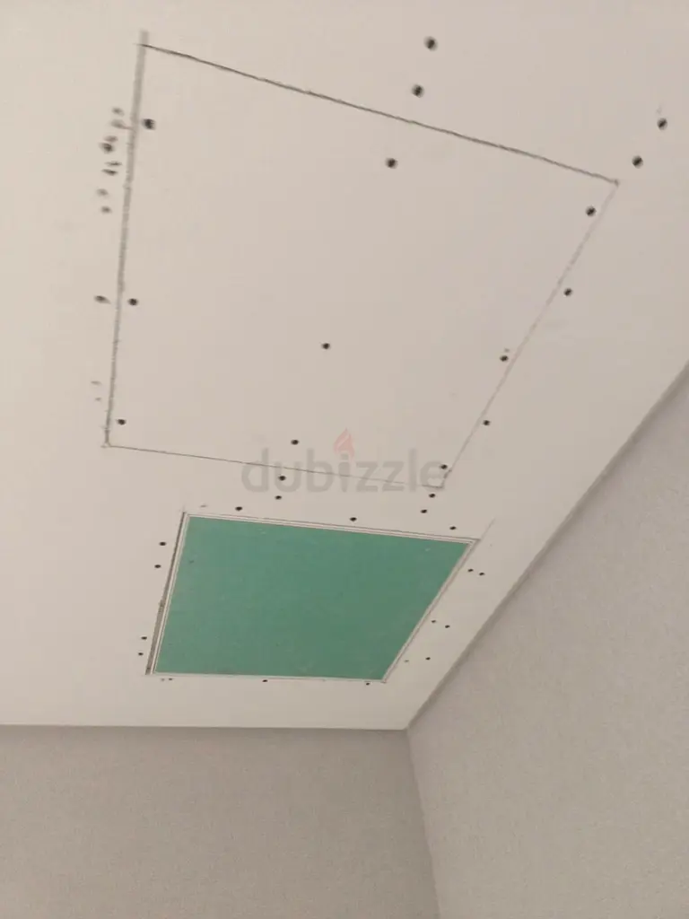 DPV_View_Image_5
