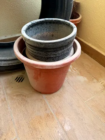Set of 5 Plastic Plant Pots with  - Used