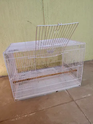 Bird Cage for Sale